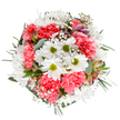 This bouquet embodies the dynamic spirit of Seven Sisters, carefully assembled to capture the neighbourhood's cheerful vibrancy and cultural tapestry. At its heart, sunlit white daisies with energising lime centers open up beside plush, ruffled coral-pink carnations, infusing the arrangement with depth and gentle exuberance. Wispy baby's breath meanders throughout, evoking tiny constellations beneath the canopy of Chestnuts Park, while slim buds-streaked purple and pink-peek out, suggesting new stories ready to unfold. Lush greenery, featuring soft eucalyptus and deep green sprigs, surrounds the blooms and adds cooling undertones, reminiscent of the shade along bustling Broad Lane. The bouquet's full, round form and lively palette make it an inspired choice for birthdays, get-well wishes, or springtime décor in Seven Sisters. Each element is thoughtfully chosen to convey warmth, hope, and celebration, mirroring the artistry and community focus of the area's trusted local florists.